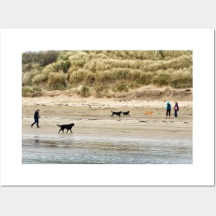 Four Dogs: Dog walkers on the beach - Beadnell, Northumberland, UK Posters and Art